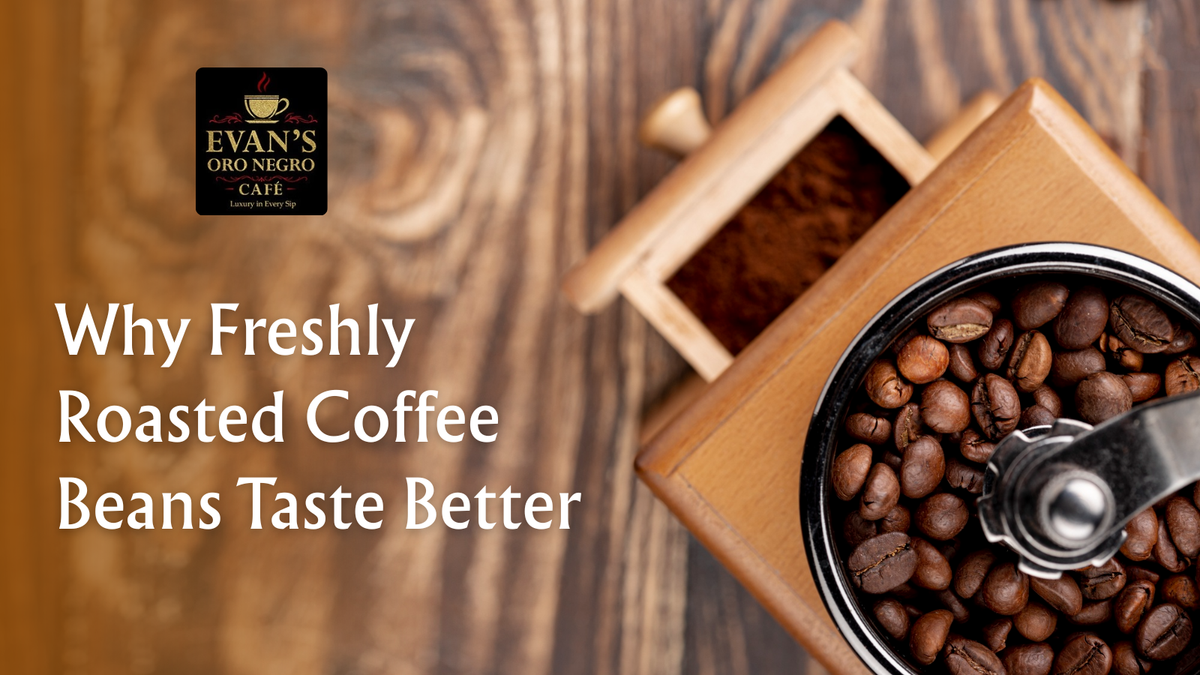 Freshly Roasted Coffee Beans 