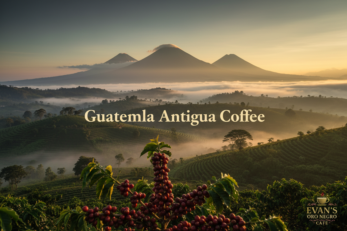 Guatemala Antigua Coffee: Why It's So Good